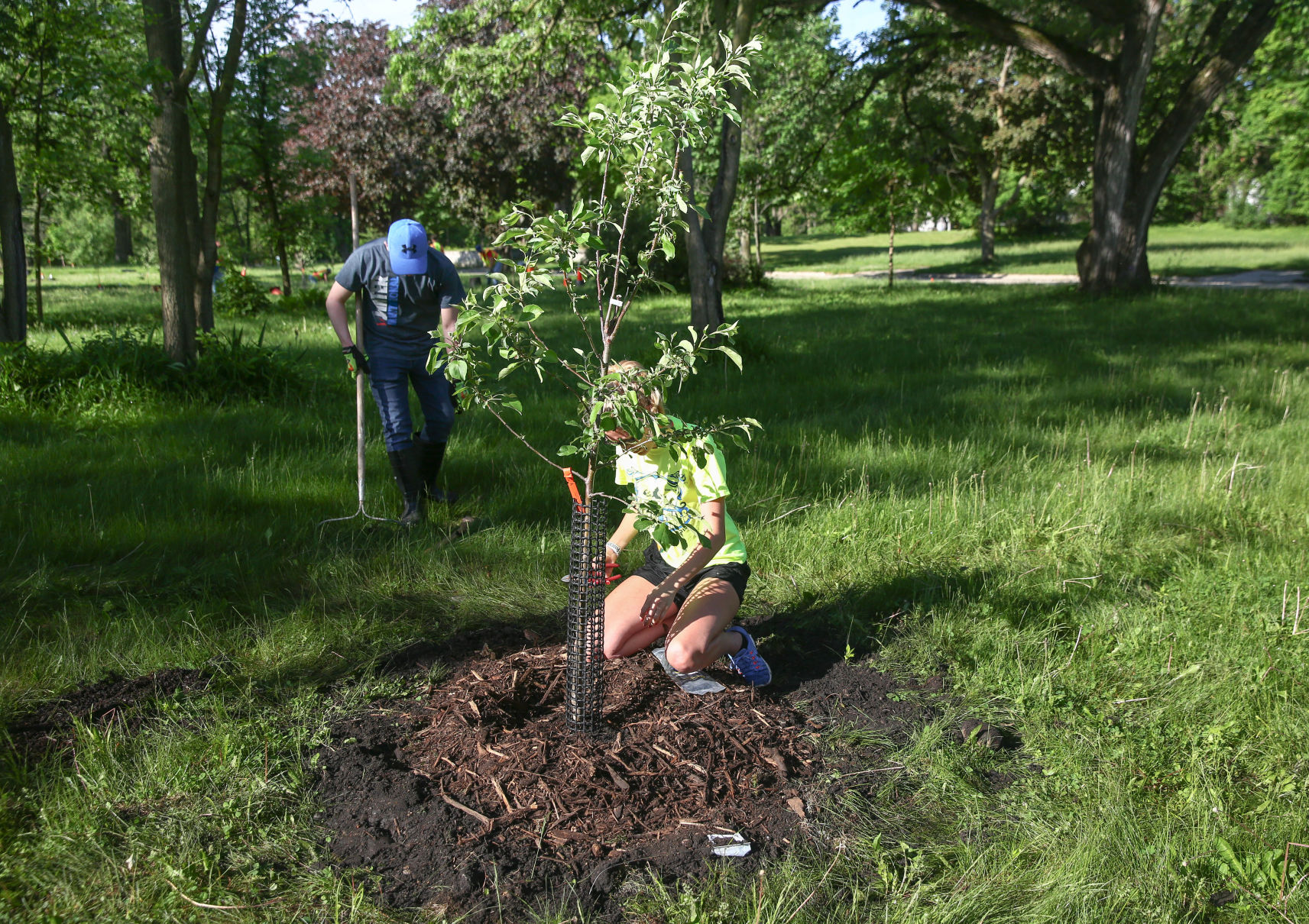 YIELD tree planting in Mason City (4).jpg